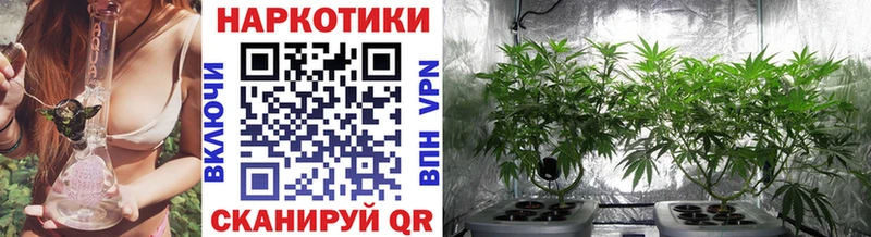 A-PVP Болгар