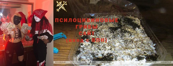 a pvp Краснослободск
