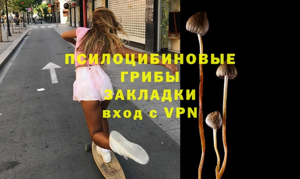 spice Корсаков