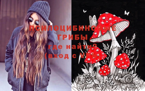 МДПВ Коряжма