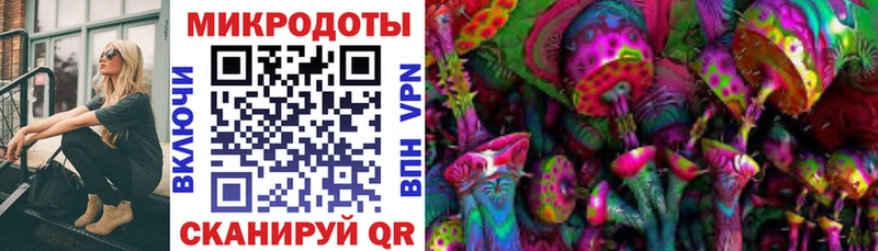 Купить где  Болгар  Галлюциногенные грибы Psilocybine cubensis 